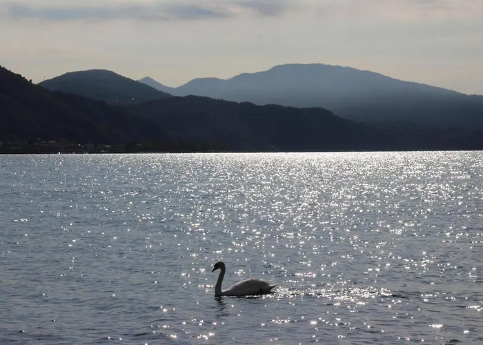 Millennium Hotel Locarno